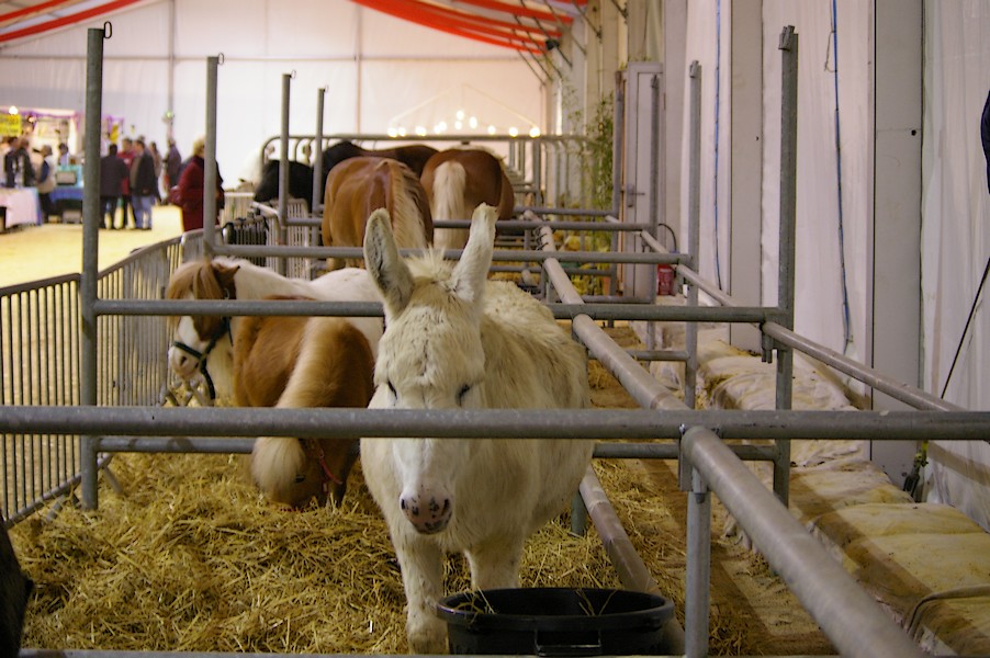 Salon de l agriculture et de la nature de l essonne: salon de l agriculture 074